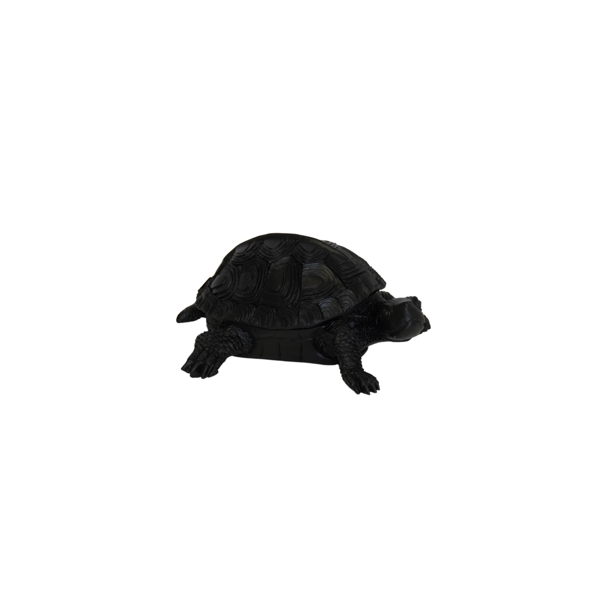 Schildkrötenbox – Polyresin – Schwarz – 15,5 x 13,5 x 7,5 cm