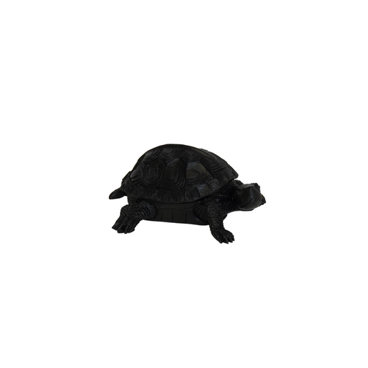 Schildkrötenbox – Polyresin – Schwarz – 15,5 x 13,5 x 7,5 cm